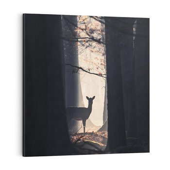 Obraz na płótnie 60x60 - Sarnie Skoki - zdjęcie, klimatyczny las