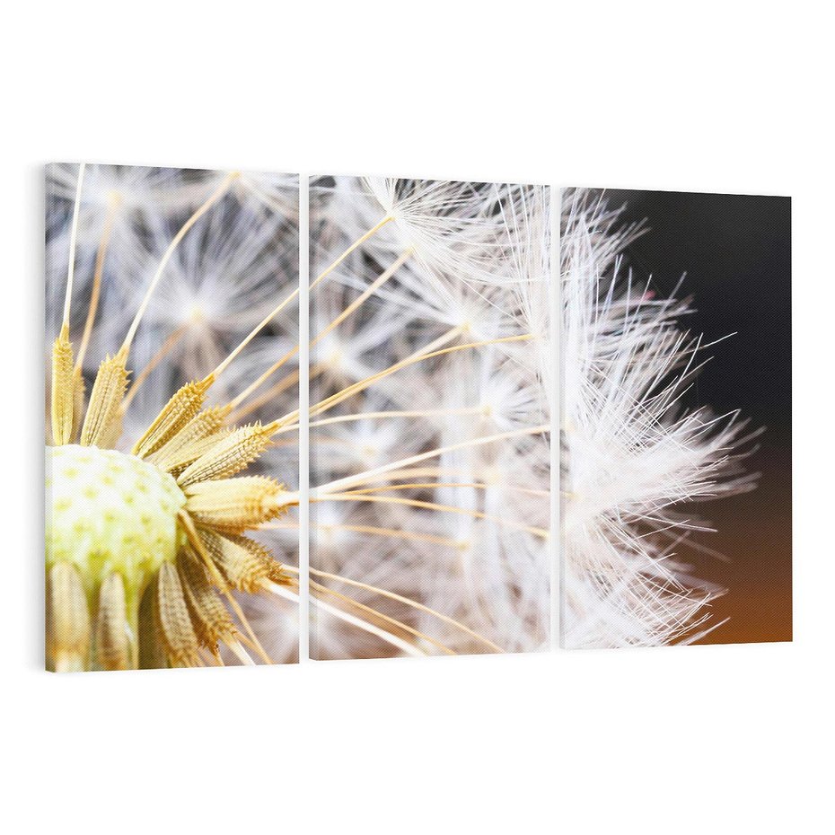Obraz na płótnie 120x80 - Dmuchawiec: lekkość natury - dmuchawiec, natura