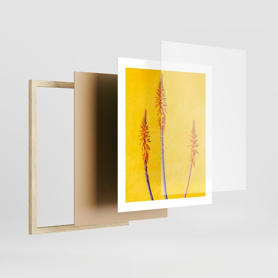 Plakat w ramie 40x50 - Radość Natury - kolor, kwiaty - rama drewno