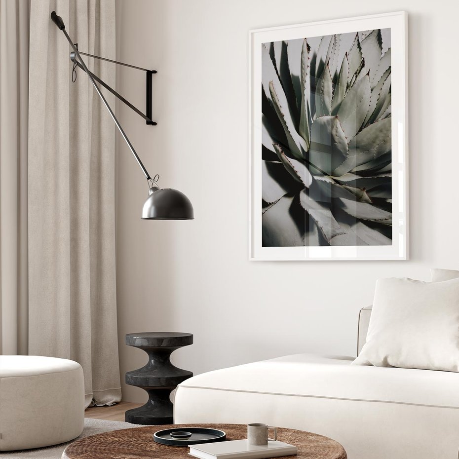 Plakat bez ramy 21x30 - Sukulenty wśród kaktusów - sukulenty, kaktusy