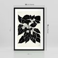 Plakat w ramie 50x70 - Ruchome szkicowe odbicia - czarno biała grafika, roślinność - rama czarna