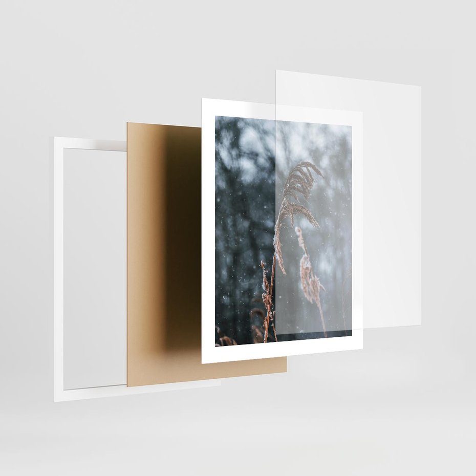 Plakat w ramie 40x50 - Zima na Łonie Natury - sucha wysoka trawa, w zimie - rama biała