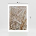 Plakat bez ramy 30x40 - Beżowa Trawa - suche trawy, zbliżenie