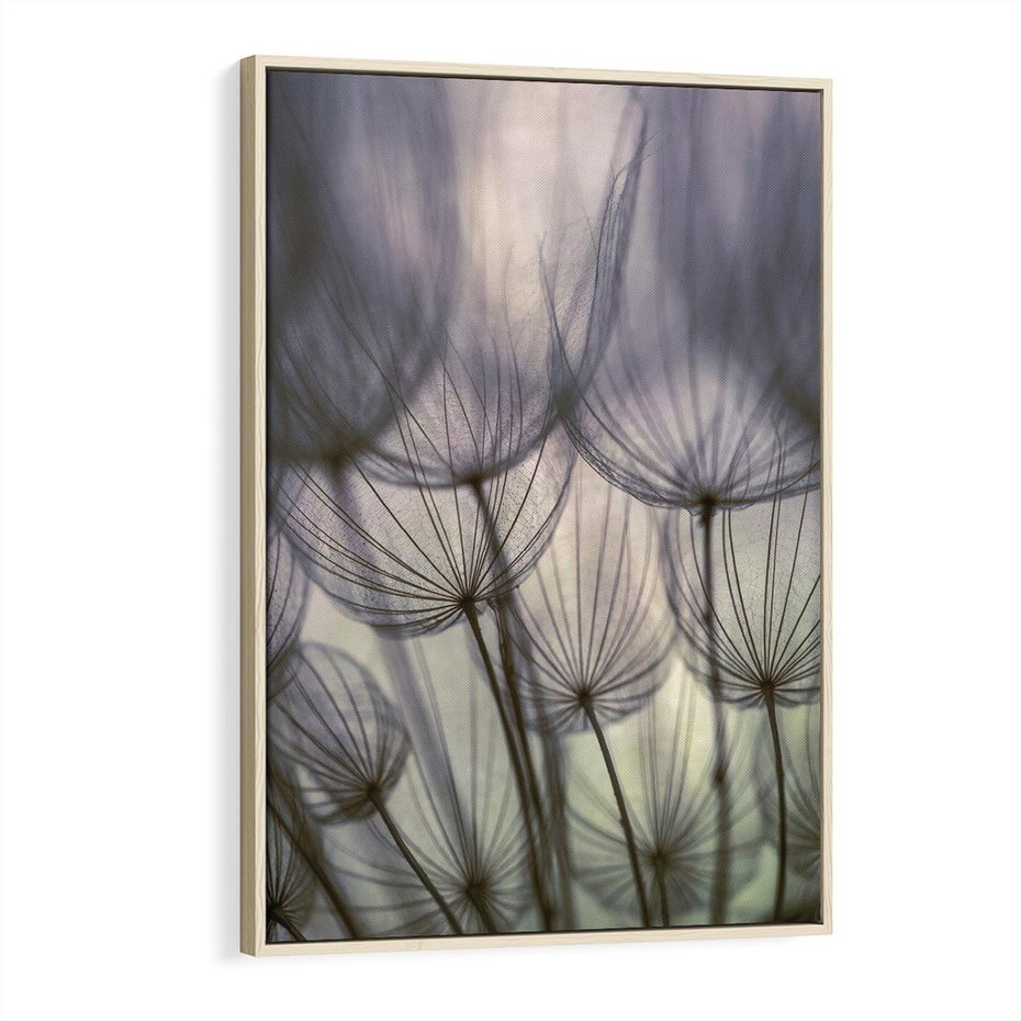 Obraz w ramie 80x120 - Makro dmuchawiec - piękno drobnych detali - dmuchawce, makro - rama drewno