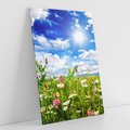 Obraz na płótnie 50x70 - Niebiańska łąka pełna kwiatów - łąka, niebo