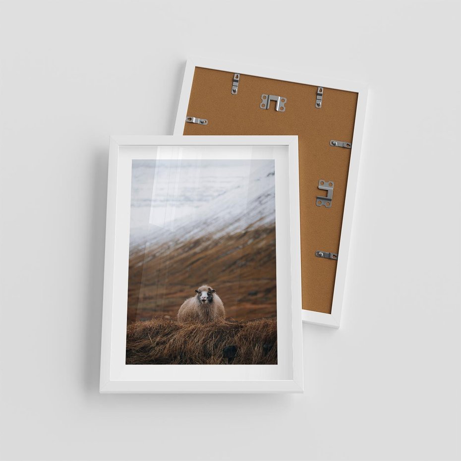 Plakat w ramie 30x40 - Owiecka panorama - góry, owca - rama biała