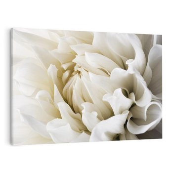 Obraz na płótnie 70x50 - Białe Kwiaty Delikatności - białe, kwiaty
