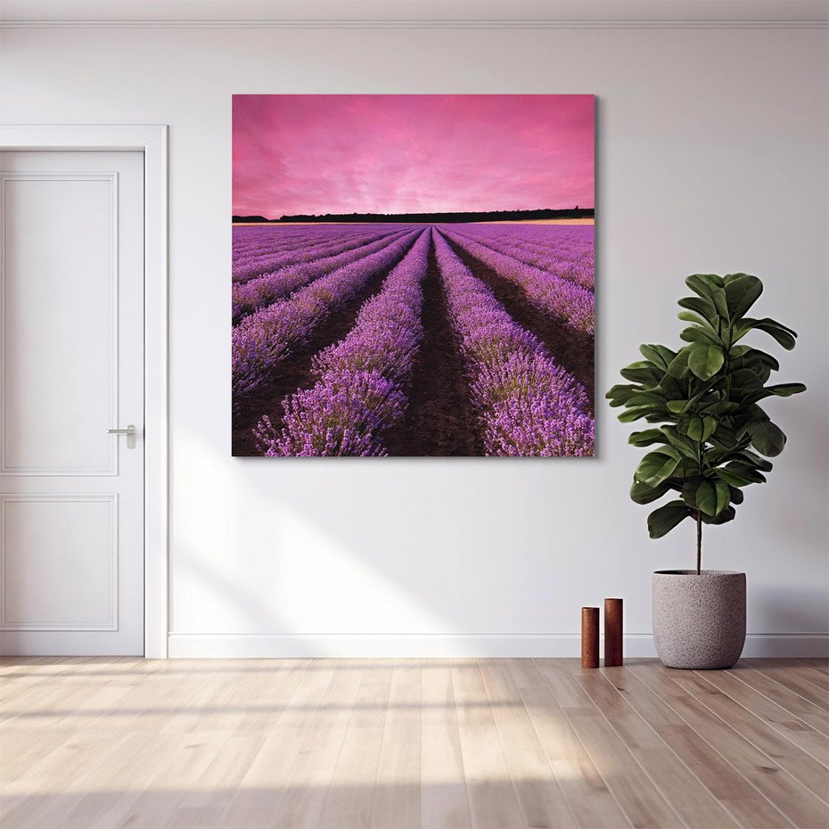 Obraz na płótnie 60x60 - Pola lawendy w pełnym rozkwicie - Lawenda, krajobraz