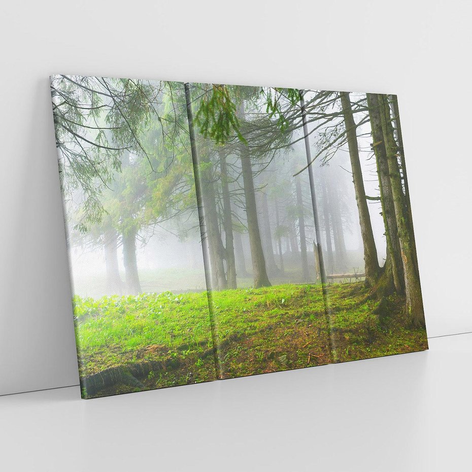 Obraz na płótnie 120x80 - Drzewa w harmonii - las, drzewa