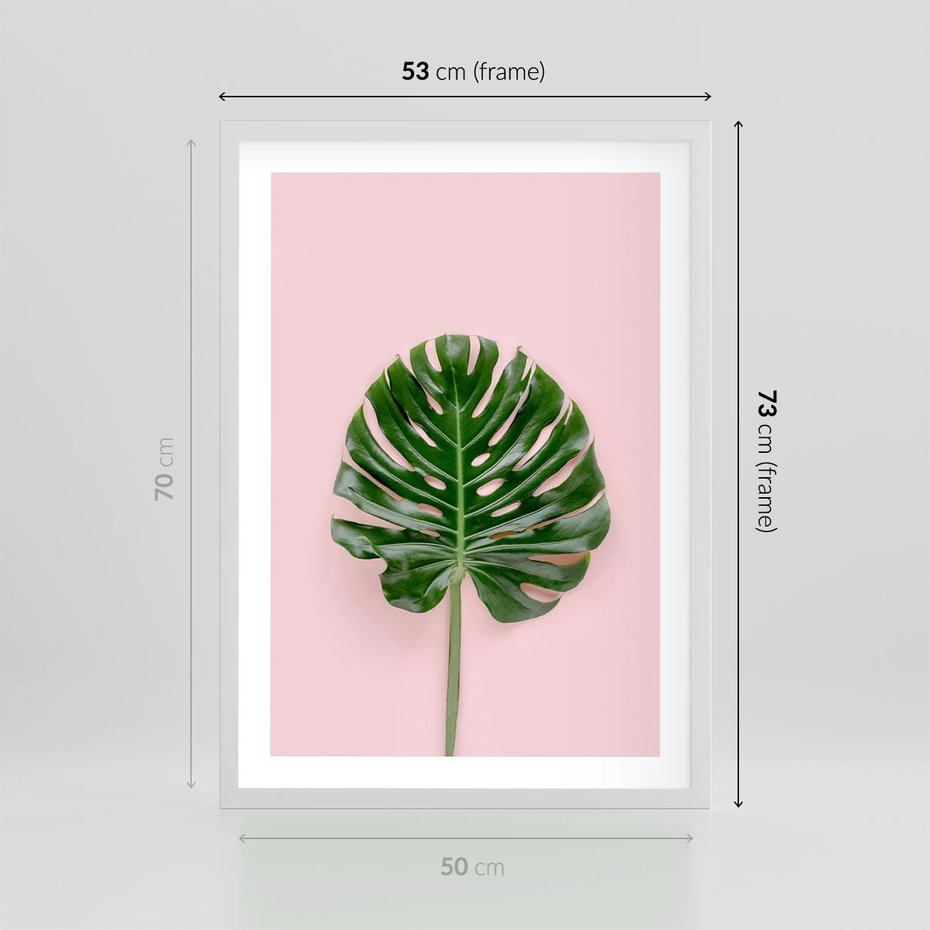 Plakat w ramie 50x70 - Egzotyczna Roślinność - liście, monstera - rama biała