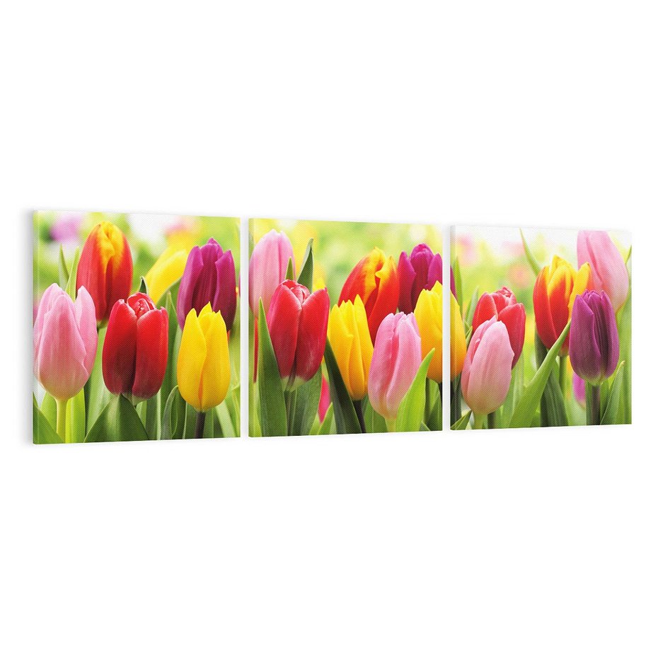 Obraz na płótnie 120x40 - delikatność kwiatowego świata - tulipany, kwiaty