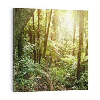 Obraz na płótnie 50x50 - Uroczysty Las Drzew - las, drzewa