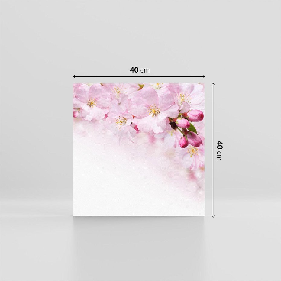 Obraz na płótnie 40x40 - Kwitnąca Wiśnia - kwiaty, kwitnącej