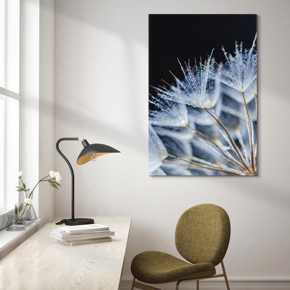 Obraz na płótnie 70x100 - Makro piękno dmuchawców - makro, dmuchawce