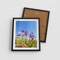Plakat w ramie 40x50 - Kwiatowa siła łąki - kwiaty, łąka - rama czarna