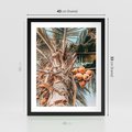 Plakat w ramie 40x50 - Tropikalna Palma: Fotografia z Kokosami - palma kokosowa, kokosy - rama czarna
