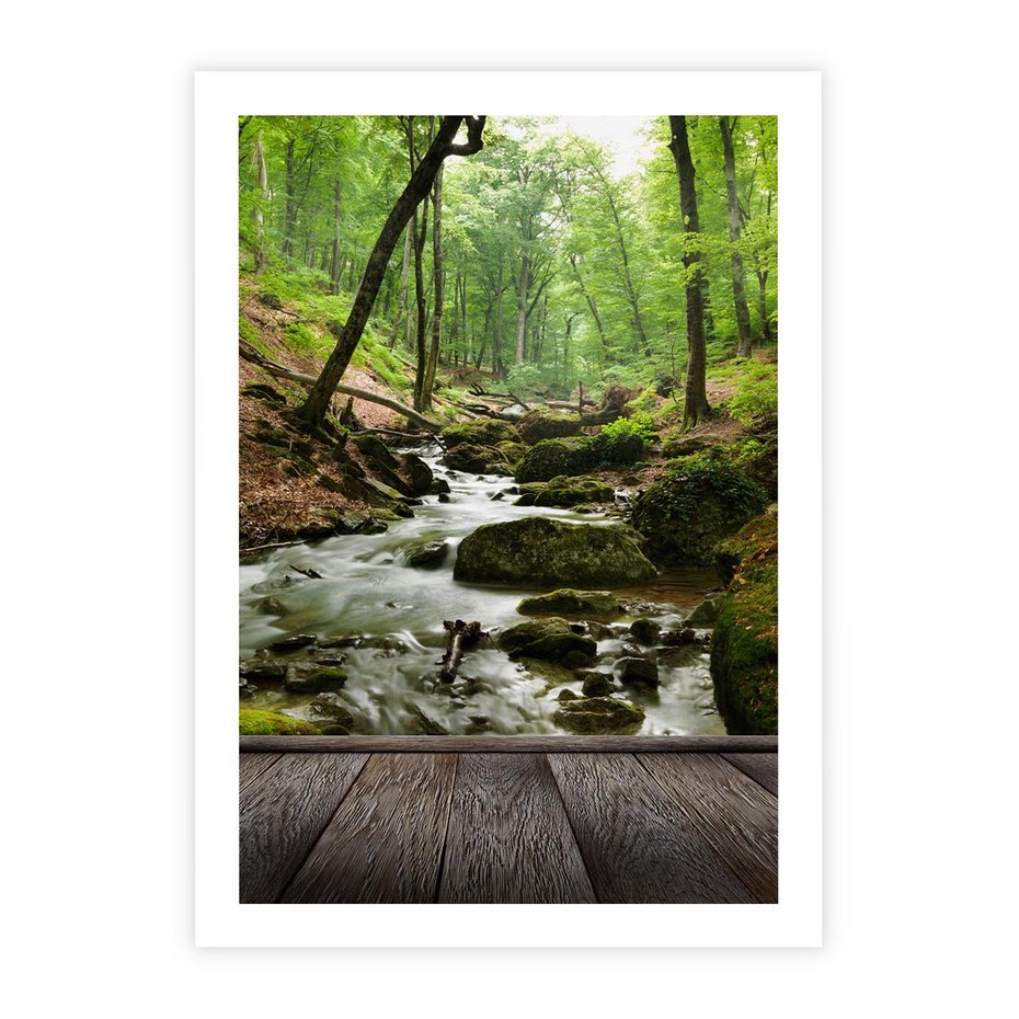 Plakat bez ramy 21x30 - Strumyk w lesie - strumyk, w lesie