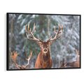 Obraz w ramie 100x70 - Monarcha Zimowej Dziczy - jeleń, zima - rama czarna