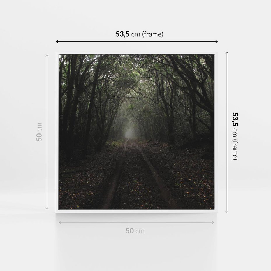 Obraz w ramie 50x50 - Urok Drogi - las, droga - rama biała