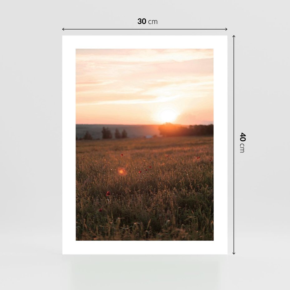 Plakat bez ramy 30x40 - Łąka we Wschodzącym Słońcu: Magia Poranka - łąka, krajobraz