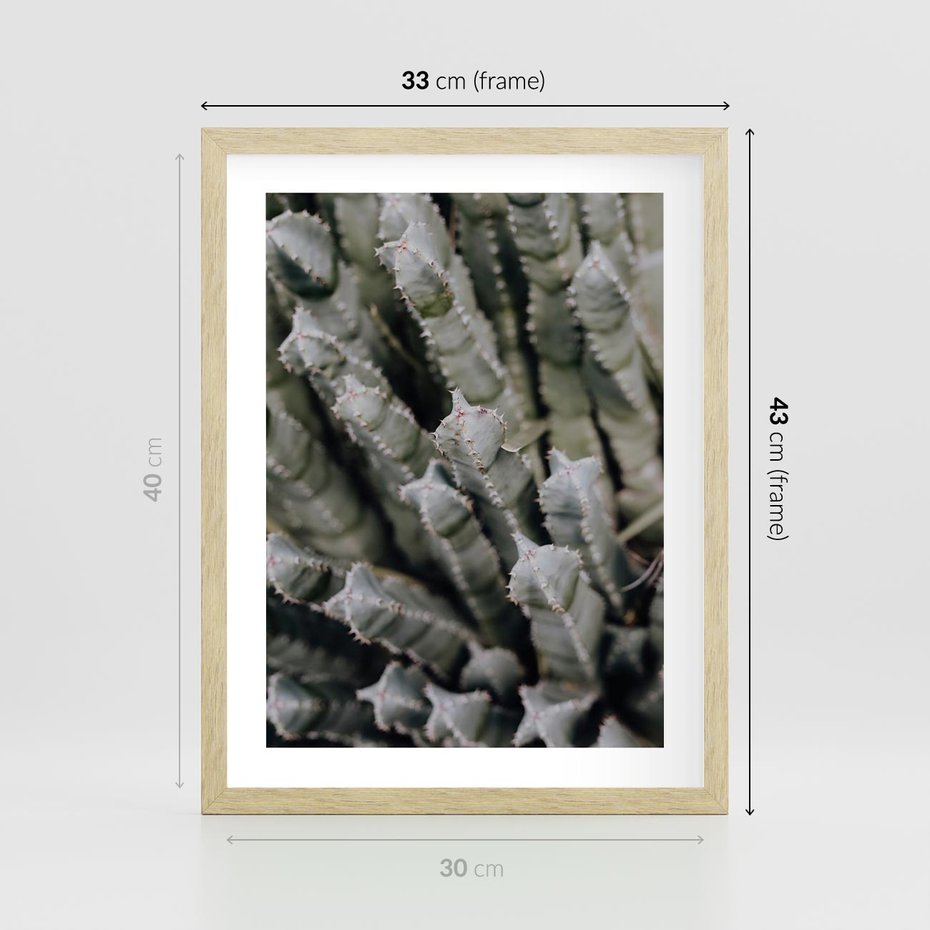 Plakat w ramie 30x40 - Boho kaktusy na pustyni - kaktusy, pustynia - rama drewno