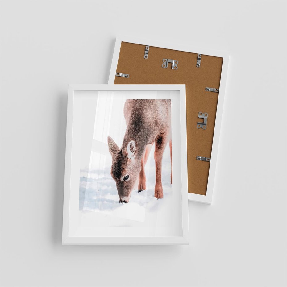 Plakat w ramie 30x40 - Sarna w Zimowym Raju - sarna, na śniegu - rama biała