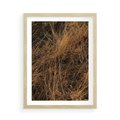 Plakat w ramie 50x70 - Szlachetna Suchość Traw - trawy, suche trawy - rama drewno