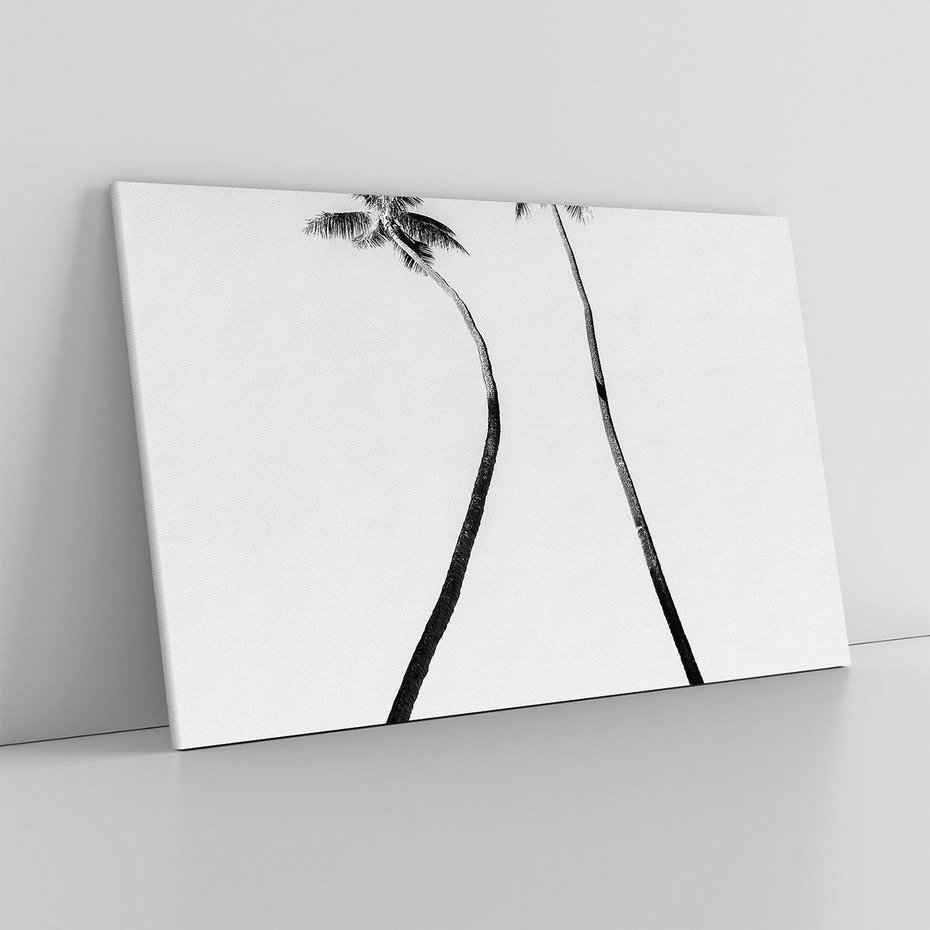 Obraz na płótnie 120x80 - Samotne Palmy - czarno biała fotografia, dwie samotne palmy