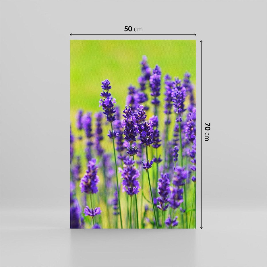 Obraz na płótnie 50x70 - Lawenda w naturze - lawenda, kwiaty