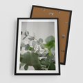 Plakat w ramie 50x70 - Liście eukaliptusa w naturze - eukaliptus, liście - rama czarna