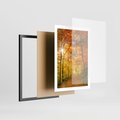 Plakat w ramie 50x70 - Złote barwy jesiennego lasu - las, jesień - rama czarna