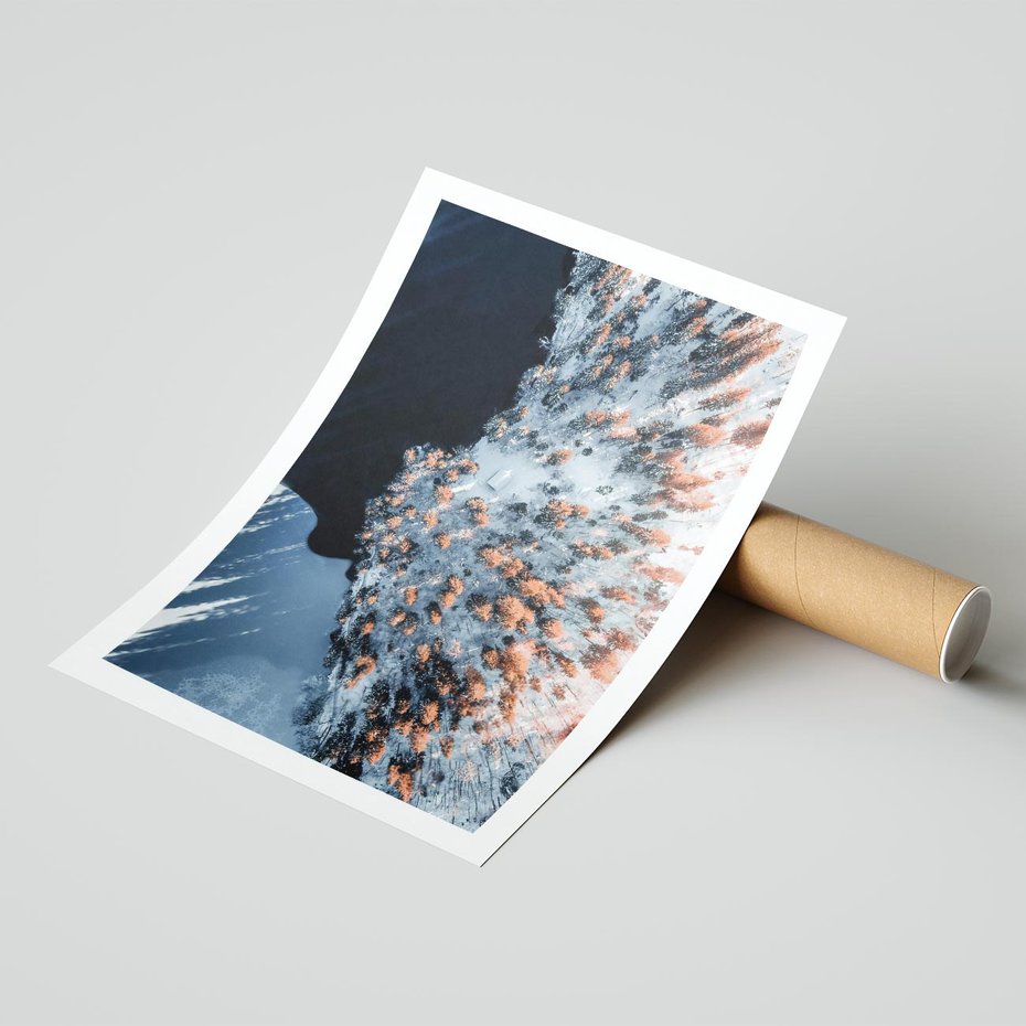 Plakat bez ramy 30x40 - Lot Ptaka - zima, zimowy krajobraz