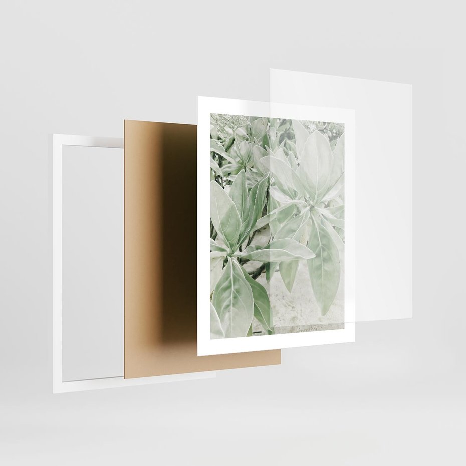 Plakat w ramie 40x50 - Jasnozielone Liście w Kompozycji - liście, jasna zieleń - rama biała