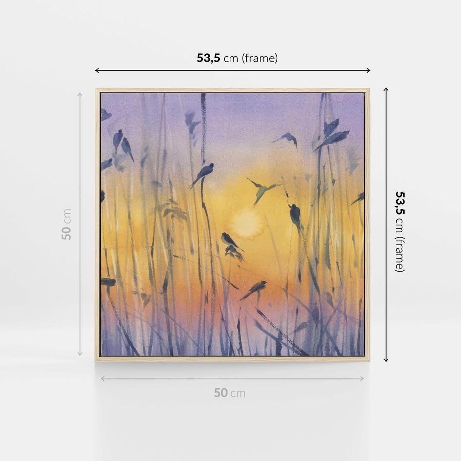 Obraz w ramie 50x50 - Mistyka Poranka nad Szuwaram - wschód słońca w szuwarach, trawy - rama drewno