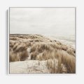 Obraz w ramie 50x50 - Nadmorskie Wydmy - fotografia, kolory sepii - rama biała
