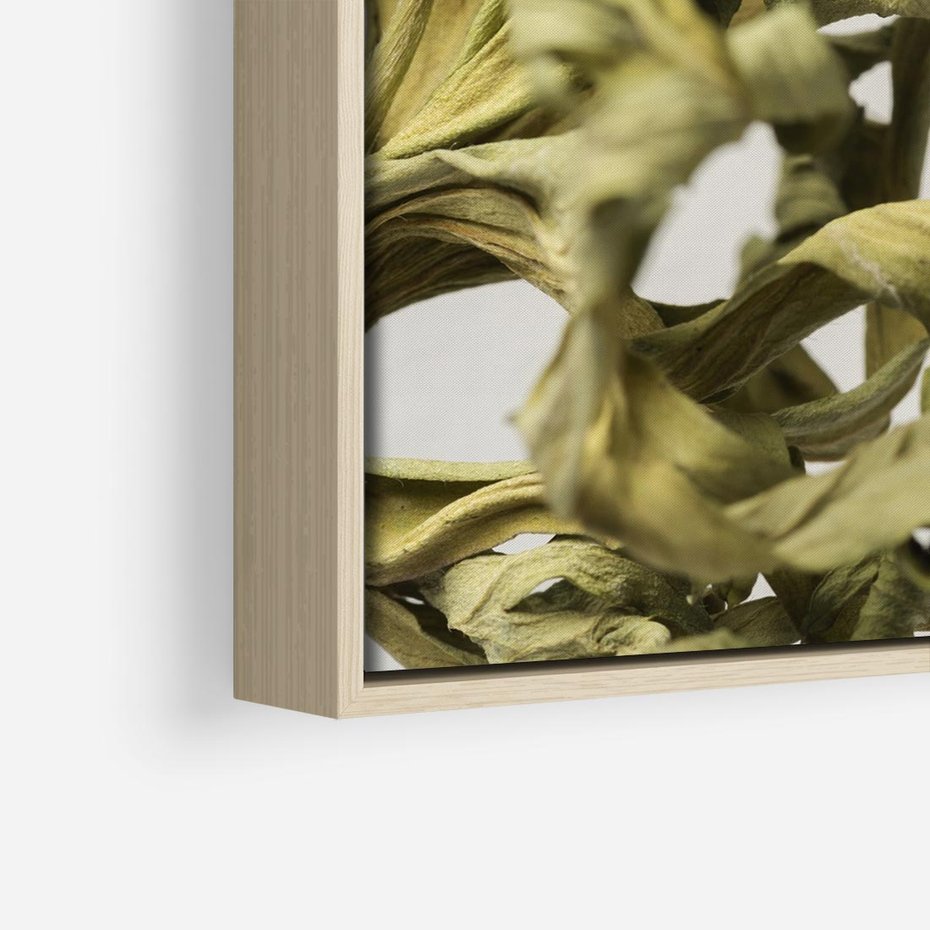 Obraz w ramie 80x80 - Odejście pory deszczowej - suche, trawy - rama drewno