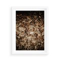 Plakat w ramie 50x70 - Suchość Liści w Brązowych Tonach - suche liście jesień brąz - rama biała