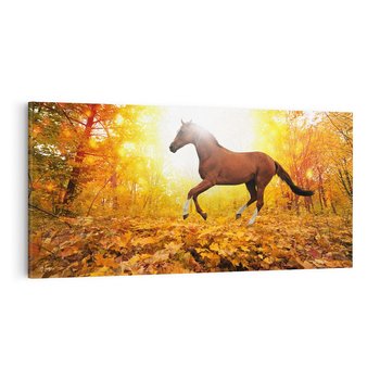 Obraz na płótnie 140x70 - Moc konia w zachodzie słońca - koń, słońce