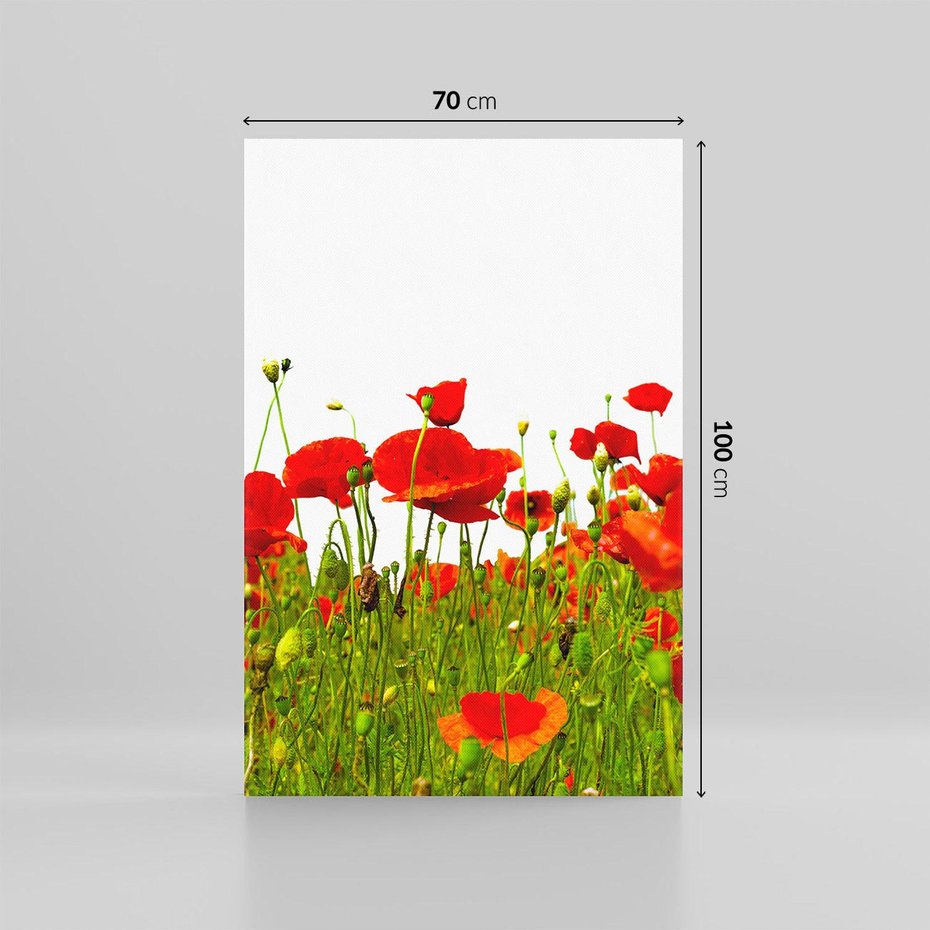 Obraz na płótnie 70x100 - Bujne maki na malowniczej łące - mak, maki