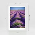 Plakat w ramie 30x40 - Malownicze Pole Lawendy - lawenda, pole - rama biała