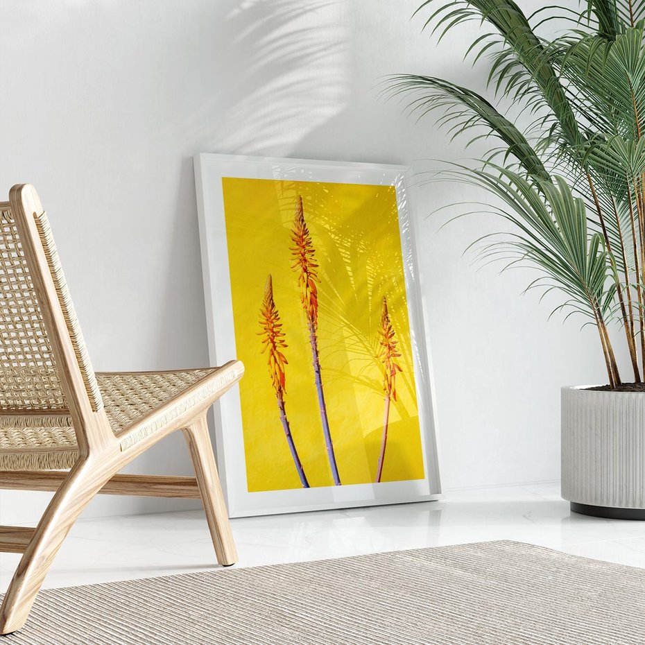 Plakat bez ramy 50x70 - Radość Natury - kolor, kwiaty