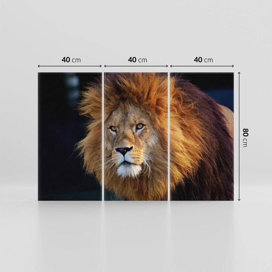 Obraz na płótnie 120x80 - Lew - Król Zwierząt - lew, zwierzęta