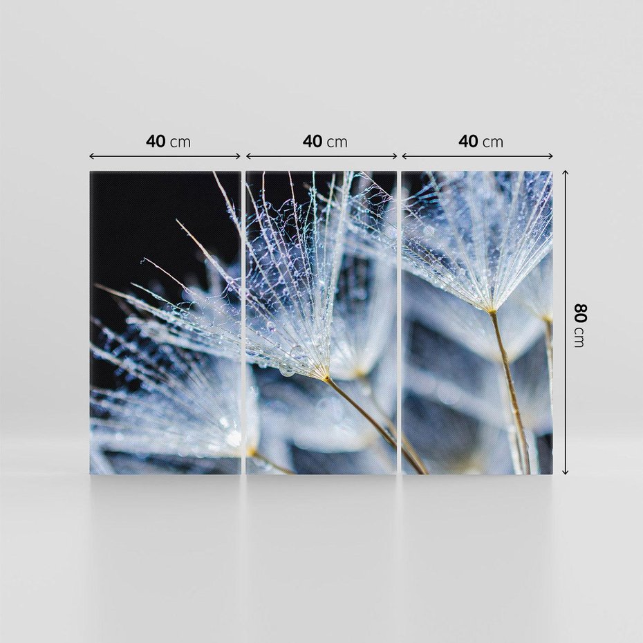 Obraz na płótnie 120x80 - Makro piękno dmuchawców - makro, dmuchawce