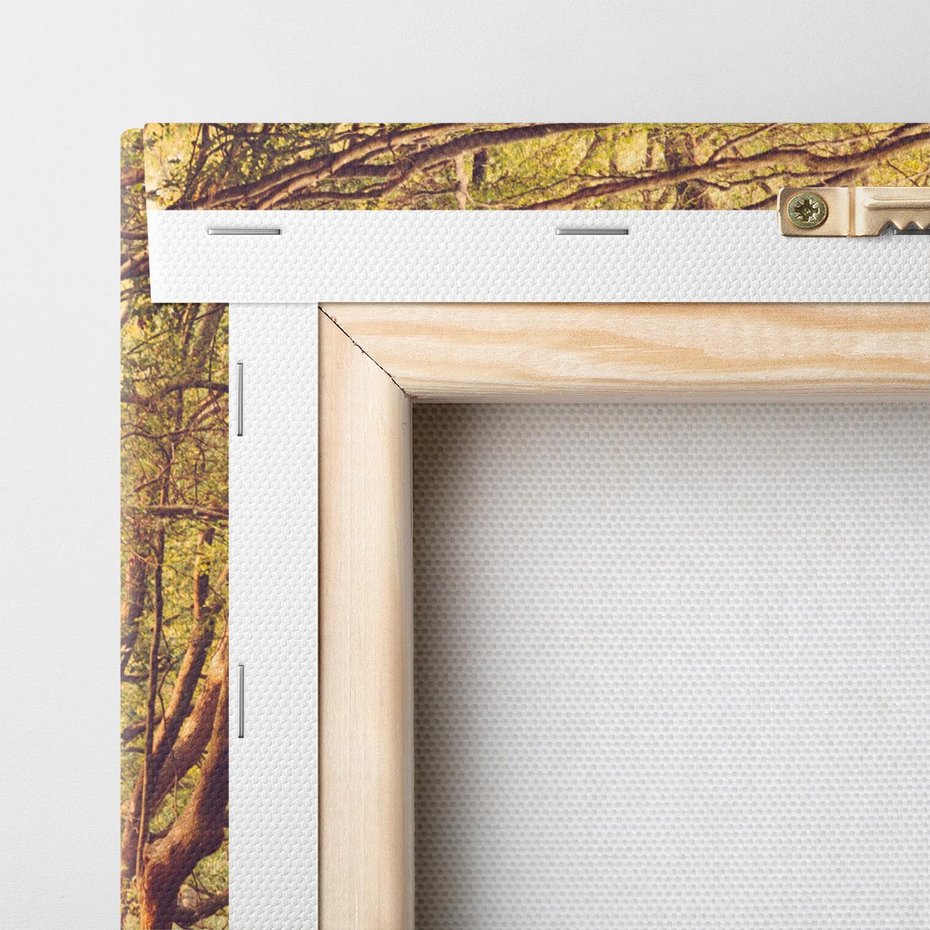 Obraz na płótnie 70x50 - Wędrówka między drzewami - droga, drzewa