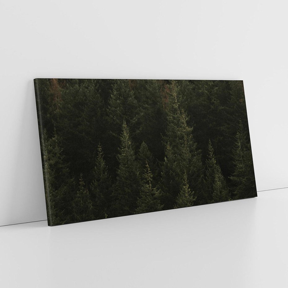 Obraz na płótnie 120x60 - Ciemny las iglasty - las, iglasty
