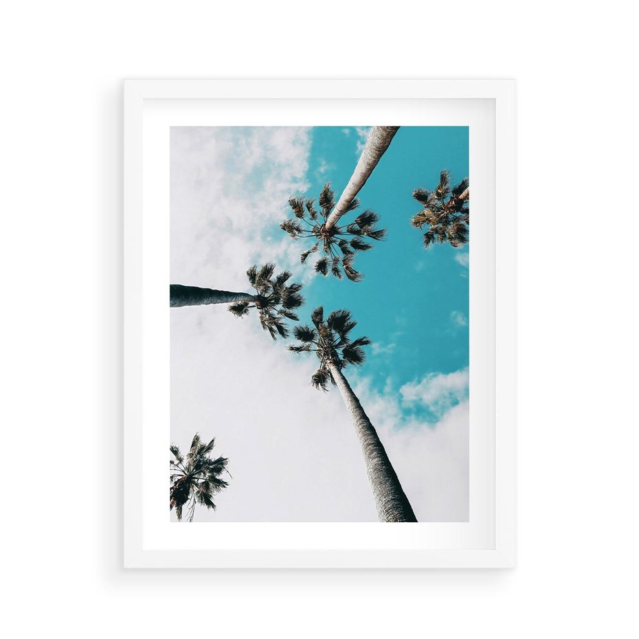 Plakat w ramie 40x50 - Palmy w Gorącym Niebie - palmy, ujęcie z dołu - rama biała