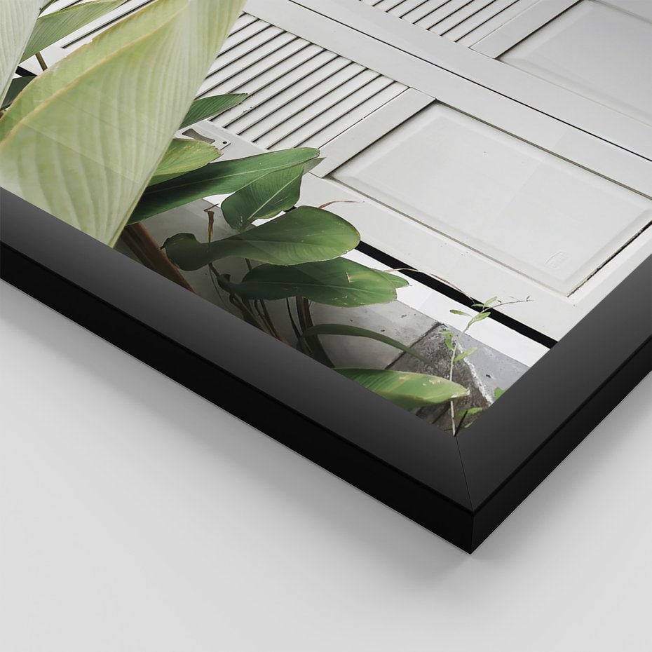 Zestaw obrazy w ramie 40x50 galeria - Okiennica, liście, biały - rama czarna