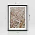 Plakat w ramie 30x40 - Beżowa Trawa - suche trawy, zbliżenie - rama czarna