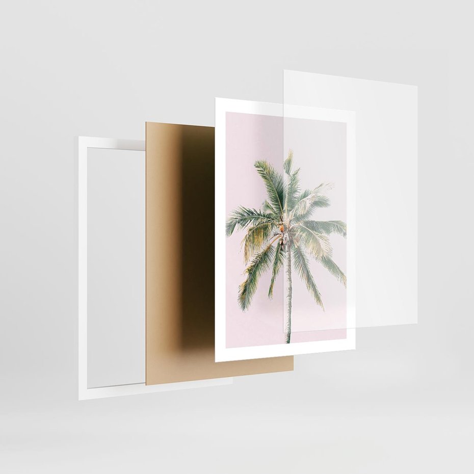 Plakat w ramie 50x70 - Błogość Tropików - palma, tropiki - rama biała
