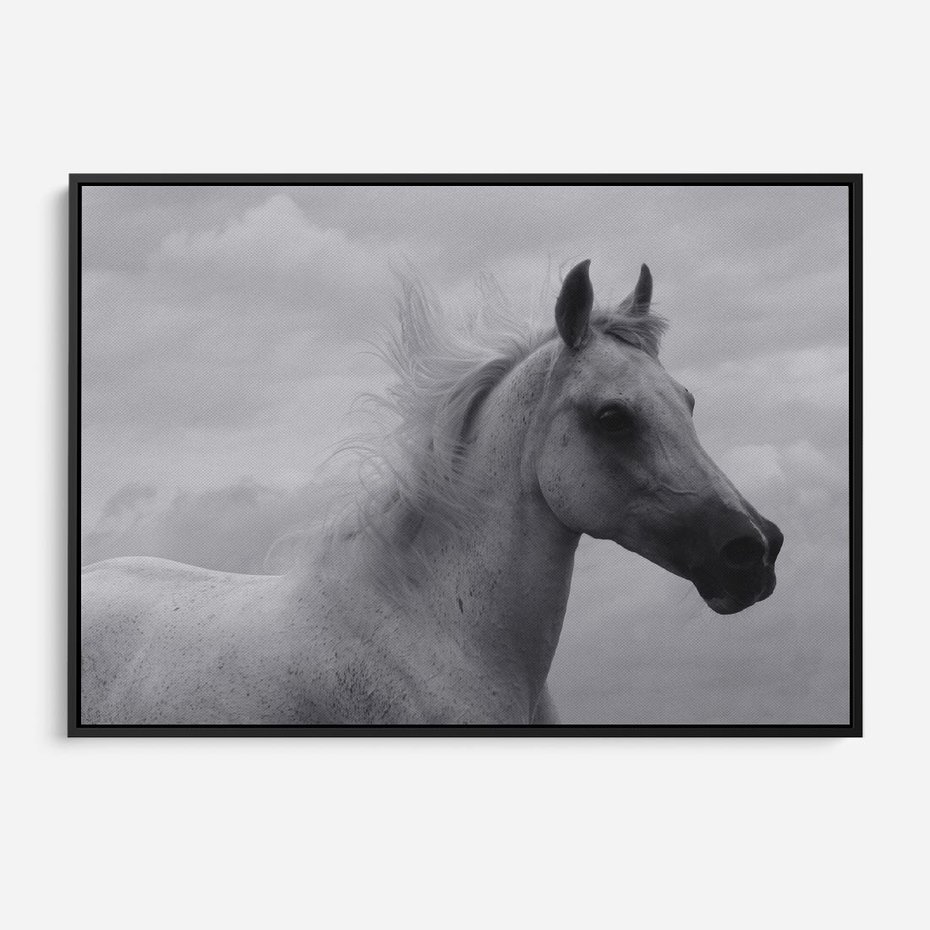 Obraz w ramie 100x70 - Moc i Wolność - czarno biała fotografia, biały - rama czarna